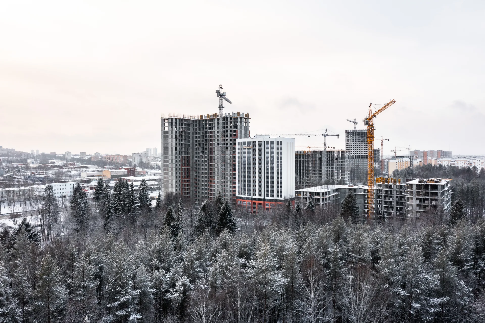 Друзья — Секция 1 — Ход строительства 2024-01